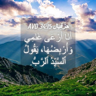 Picture 04 - حِزْقِيَال 34:15 AVD - أَنَا أَرْعَى غَنَمِي - Bible Verse Picture