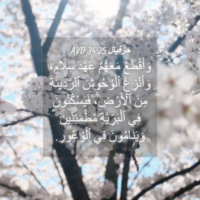Picture 04 - حِزْقِيَال 34:25 AVD - وَأَقْطَعُ مَعَهُمْ - Bible Verse Picture