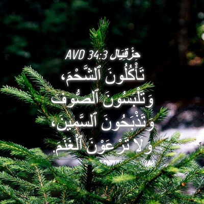 Picture 04 - حِزْقِيَال 34:3 AVD - تَأْكُلُونَ ٱلشَّحْمَ، - Bible Verse Picture