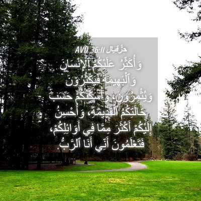 Picture 04 - حِزْقِيَال 36:11 AVD - وَأُكَثِّرُ عَلَيْكُمُ - Bible Verse Picture