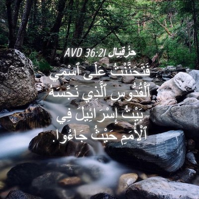 Picture 04 - حِزْقِيَال 36:21 AVD - فَتَحَنَّنْتُ عَلَى - Bible Verse Picture