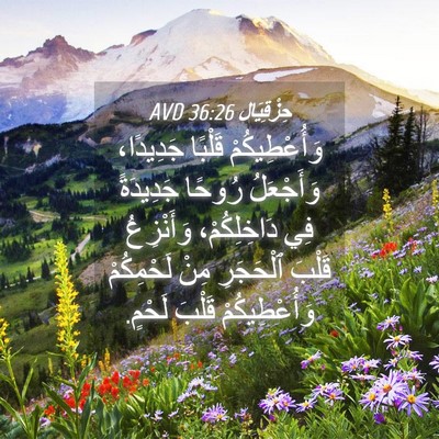 Picture 04 - حِزْقِيَال 36:26 AVD - وَأُعْطِيكُمْ قَلْبًا - Bible Verse Picture