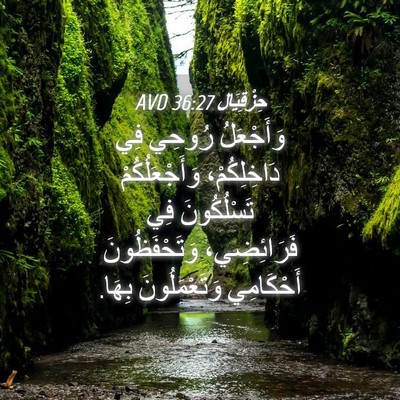 Picture 04 - حِزْقِيَال 36:27 AVD - وَأَجْعَلُ رُوحِي فِي - Bible Verse Picture
