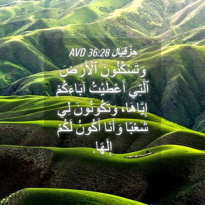 Picture 04 - حِزْقِيَال 36:28 AVD - وَتَسْكُنُونَ ٱلْأَرْضَ - Bible Verse Picture