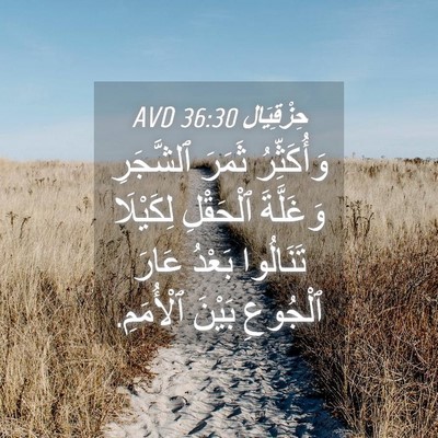 Picture 04 - حِزْقِيَال 36:30 AVD - وَأُكَثِّرُ ثَمَرَ - Bible Verse Picture