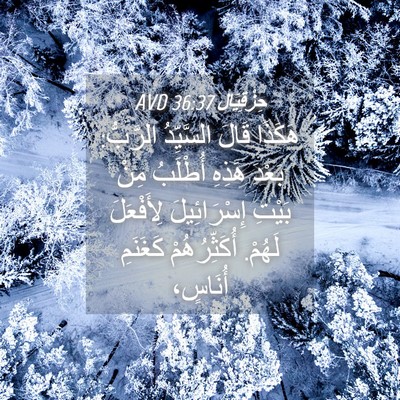 Picture 04 - حِزْقِيَال 36:37 AVD - هَكَذَا قَالَ السَّيِّدُ - Bible Verse Picture