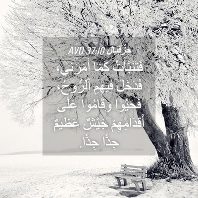 Picture 04 - حِزْقِيَال 37:10 AVD - فَتَنَبَّأْتُ كَمَا - Bible Verse Picture