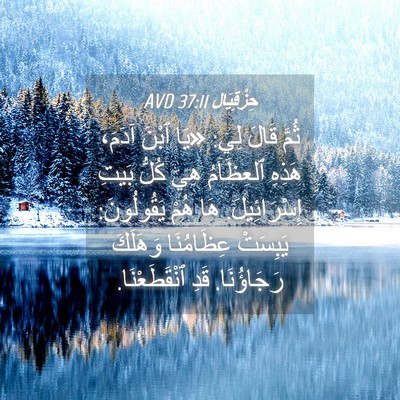 Picture 04 - حِزْقِيَال 37:11 AVD - ثُمَّ قَالَ لِي: «يَا ٱبْنَ - Bible Verse Picture