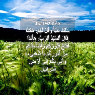Picture 04 - حِزْقِيَال 37:12 AVD - لِذَلِكَ تَنَبَّأْ وَقُلْ - Bible Verse Picture