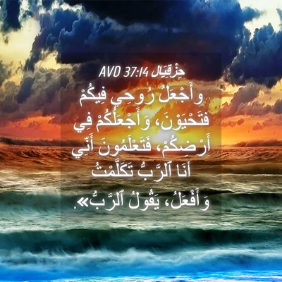 Picture 04 - حِزْقِيَال 37:14 AVD - وأَجْعَلُ رُوحِي فِيكُمْ - Bible Verse Picture