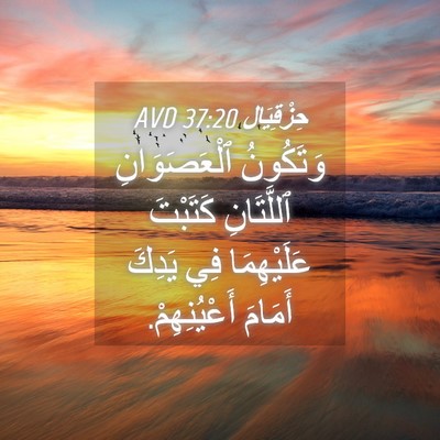 Picture 04 - حِزْقِيَال 37:20 AVD - وَتَكُونُ ٱلْعَصَوَانِ - Bible Verse Picture