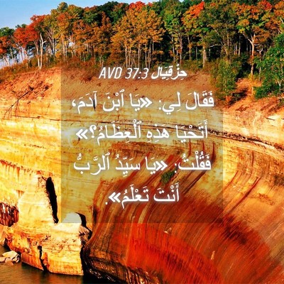 Picture 04 - حِزْقِيَال 37:3 AVD - فَقَالَ لِي: «يَا ٱبْنَ - Bible Verse Picture