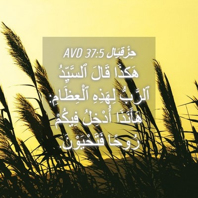 Picture 04 - حِزْقِيَال 37:5 AVD - هَكذَا قَالَ ٱلسَّيِّدُ - Bible Verse Picture
