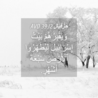 Picture 04 - حِزْقِيَال 39:12 AVD - وَيَقْبِرُهُمْ بَيْتُ - Bible Verse Picture