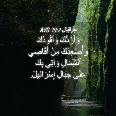 Picture 04 - حِزْقِيَال 39:2 AVD - وَأَرُدُّكَ وَأَقُودُكَ - Bible Verse Picture