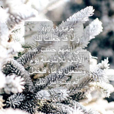 Picture 04 - حِزْقِيَال 4:5 AVD - وَأَنَا قَدْ جَعَلْتُ لَكَ - Bible Verse Picture