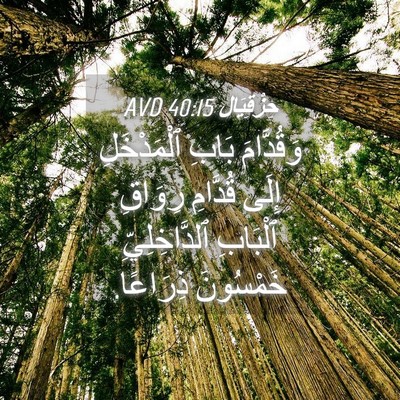 Picture 04 - حِزْقِيَال 40:15 AVD - وَقُدَّامَ بَابِ - Bible Verse Picture
