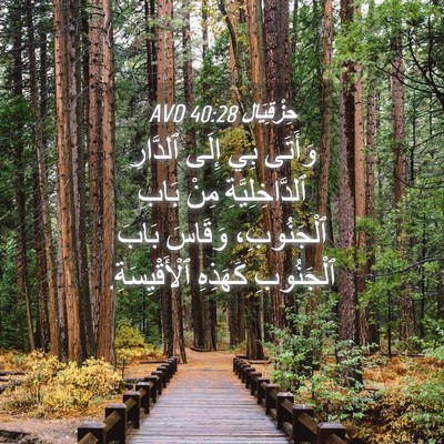 Picture 04 - حِزْقِيَال 40:28 AVD - وَأَتَى بِي إِلَى ٱلدَّارِ - Bible Verse Picture