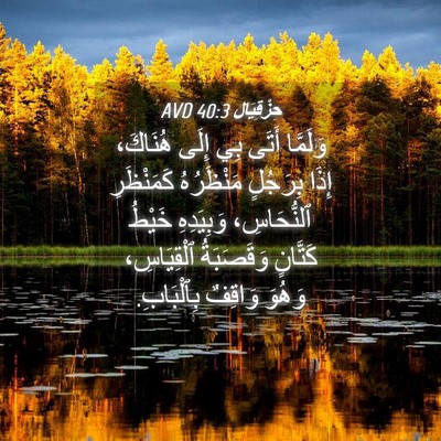 Picture 04 - حِزْقِيَال 40:3 AVD - وَلَمَّا أَتَى بِي إِلَى - Bible Verse Picture