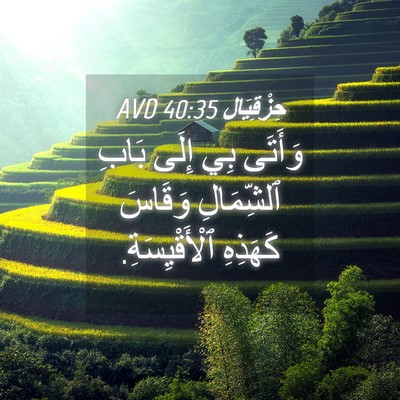 Picture 04 - حِزْقِيَال 40:35 AVD - وَأَتَى بِي إِلَى بَابِ - Bible Verse Picture