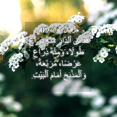 Picture 04 - حِزْقِيَال 40:47 AVD - فَقَاسَ ٱلدَّارَ مِئَةَ - Bible Verse Picture