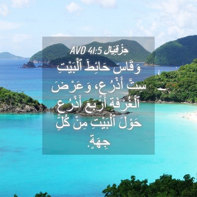Picture 04 - حِزْقِيَال 41:5 AVD - وَقَاسَ حَائِطَ ٱلْبَيْتِ - Bible Verse Picture