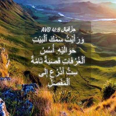 Picture 04 - حِزْقِيَال 41:8 AVD - وَرَأَيْتُ سَمْكَ - Bible Verse Picture