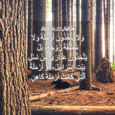 Picture 04 - حِزْقِيَال 44:22 AVD - وَلَا يَأْخُذُونَ - Bible Verse Picture