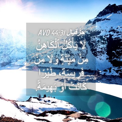Picture 04 - حِزْقِيَال 44:31 AVD - لَا يَأْكُلُ ٱلْكَاهِنُ - Bible Verse Picture