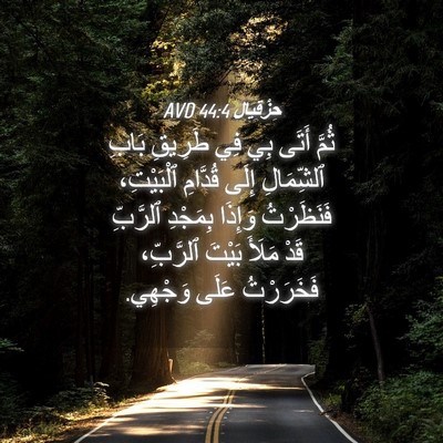 Picture 04 - حِزْقِيَال 44:4 AVD - ثُمَّ أَتَى بِي فِي - Bible Verse Picture