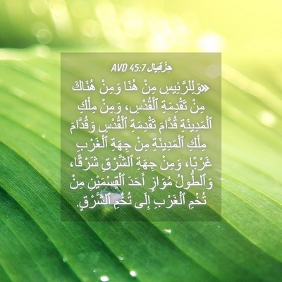 Picture 04 - حِزْقِيَال 45:7 AVD - «وَلِلرَّئِيسِ مِنْ هُنَا - Bible Verse Picture