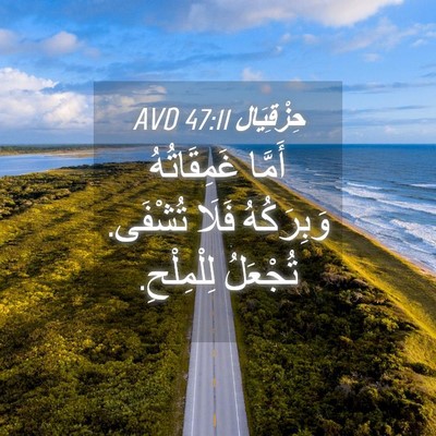 Picture 04 - حِزْقِيَال 47:11 AVD - أَمَّا غَمِقَاتُهُ - Bible Verse Picture