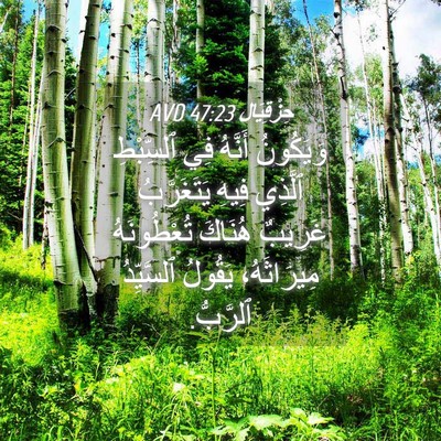 Picture 04 - حِزْقِيَال 47:23 AVD - وَيَكُونُ أَنَّهُ فِي - Bible Verse Picture