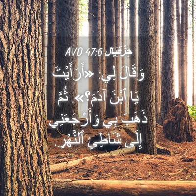 Picture 04 - حِزْقِيَال 47:6 AVD - وَقَالَ لِي: «أَرَأَيْتَ - Bible Verse Picture