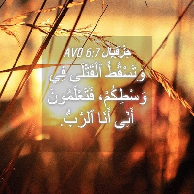 Picture 04 - حِزْقِيَال 6:7 AVD - وَتَسْقُطُ ٱلْقَتْلَى فِي - Bible Verse Picture