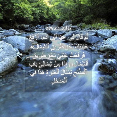 Picture 04 - حِزْقِيَال 8:5 AVD - ثُمَّ قَالَ لِي: «يَا ٱبْنَ - Bible Verse Picture