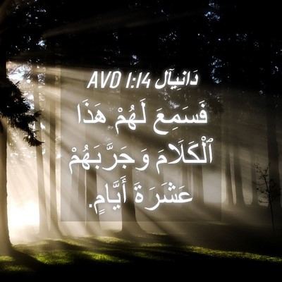 Picture 04 - دَانِيآل 1:14 AVD - فَسَمِعَ لَهُمْ هَذَا - Bible Verse Picture