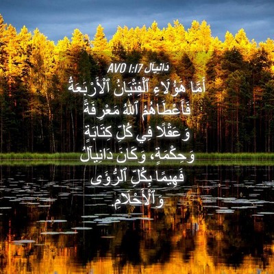 Picture 04 - دَانِيآل 1:17 AVD - أَمَّا هَؤُلَاءِ - Bible Verse Picture