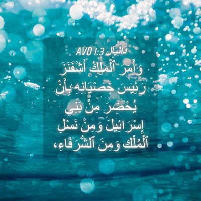 Picture 04 - دَانِيآل 1:3 AVD - وَأَمَرَ ٱلْمَلِكُ - Bible Verse Picture