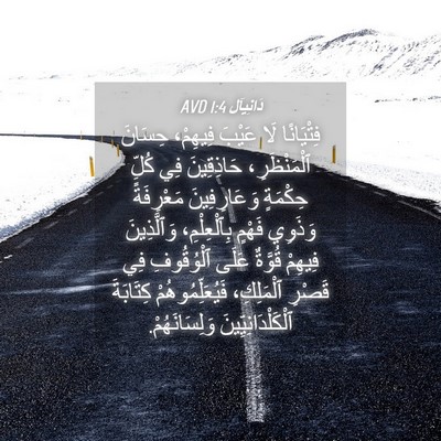Picture 04 - دَانِيآل 1:4 AVD - فِتْيَانًا لَا عَيْبَ - Bible Verse Picture