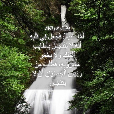 Picture 04 - دَانِيآل 1:8 AVD - أَمَّا دَانِيآلُ فَجَعَلَ - Bible Verse Picture