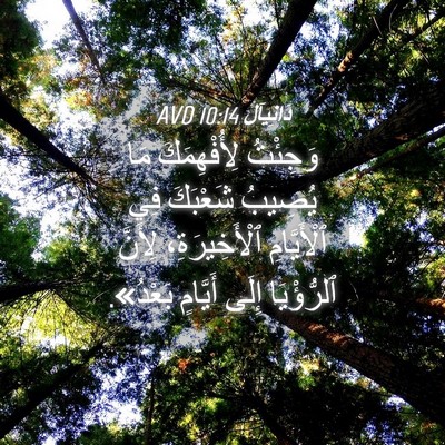 Picture 04 - دَانِيآل 10:14 AVD - وَجِئْتُ لِأُفْهِمَكَ مَا - Bible Verse Picture