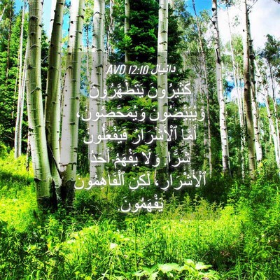 Picture 04 - دَانِيآل 12:10 AVD - كَثِيرُونَ يَتَطَهَّرُونَ - Bible Verse Picture
