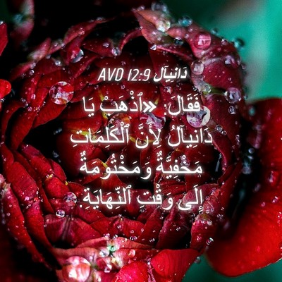 Picture 04 - دَانِيآل 12:9 AVD - فَقَالَ: «ٱذْهَبْ يَا - Bible Verse Picture