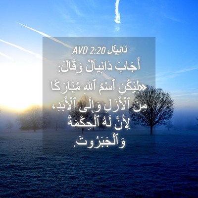 Picture 04 - دَانِيآل 2:20 AVD - أَجَابَ دَانِيآلُ وَقَالَ: - Bible Verse Picture
