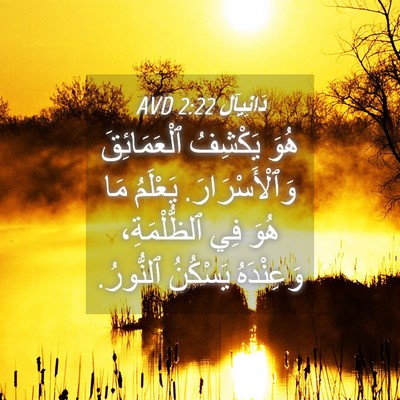 Picture 04 - دَانِيآل 2:22 AVD - هُوَ يَكْشِفُ - Bible Verse Picture