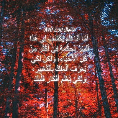 Picture 04 - دَانِيآل 2:30 AVD - أَمَّا أَنَا فَلَمْ - Bible Verse Picture