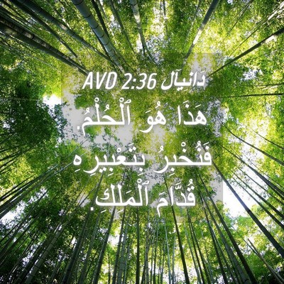 Picture 04 - دَانِيآل 2:36 AVD - هَذَا هُوَ ٱلْحُلْمُ. - Bible Verse Picture