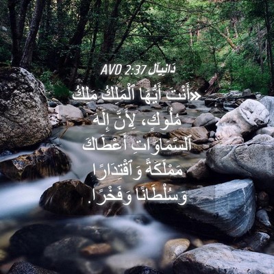 Picture 04 - دَانِيآل 2:37 AVD - «أَنْتَ أَيُّهَا - Bible Verse Picture