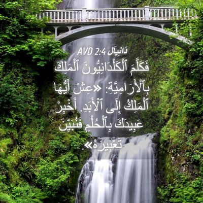 Picture 04 - دَانِيآل 2:4 AVD - فَكَلَّمَ - Bible Verse Picture